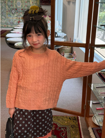 Girls Sweater 2026 Autumn and  - Baby Clothing Jumpers ulasan dan harga